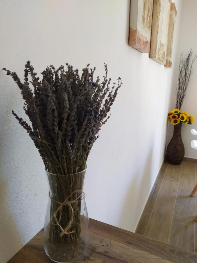 Apartamentos Xert Escapadas En Castellon Cerca De Morella Y Peniscola Chert Sant Mateu المظهر الخارجي الصورة